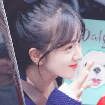 澳门王中王100%的资料下载手机版